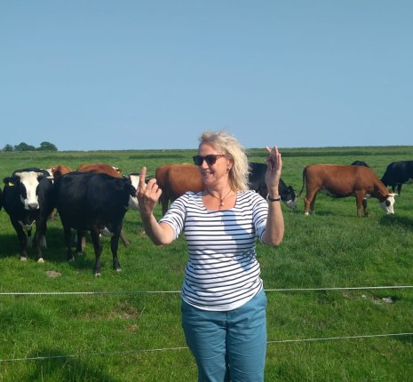 Annelies Smit dirigent met koeien in weiland